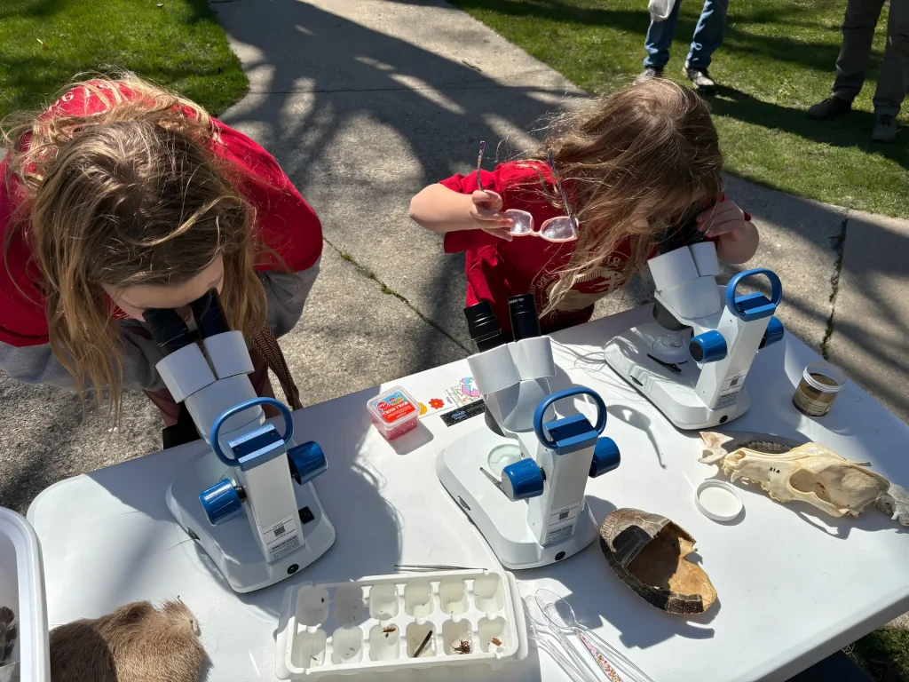 Two young children look through microscopes on a table outdoors, surrounded by animal bones, shells, and trays with samples. Sunlight and shadows fall across the scene, and other people stand in the background on the grass.