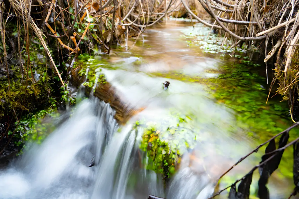 A small stream flows over mossy rocks and greenery, surrounded by brown branches and plants, creating a soft, blurred effect on the moving water.
